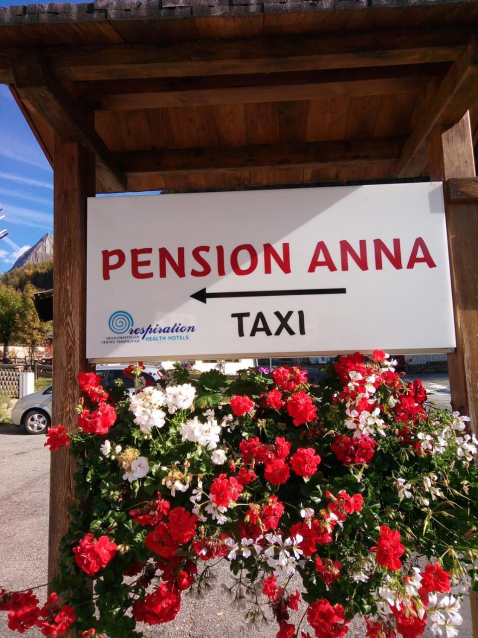 Pension & Appartament Anna Appartement Predoi Buitenkant foto